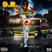 D.R. (feat. Baby Boy Da Prince) - Single - Da Real Boe Dilly