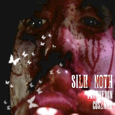 Silk Moth (feat. Cosznmo) - Single