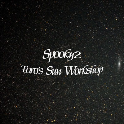 Toro's Sun Workshop - Single