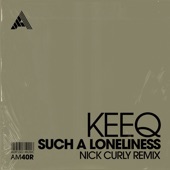 Such a Loneliness (Nick Curly Remix) [Extended Mix] artwork
