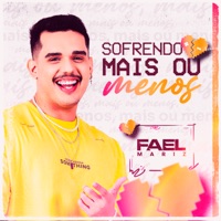 Sofrendo Mais ou Menos - Single - Fael