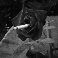 Hide the Pain (feat. L.O.E DAVID) [Remix] [Remix] - Single - T-Rain