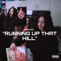 Running Up That Hill - Single - Carliddo
