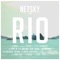 Rio (feat. Digital Farm Animals) [Hush Remix] - Netsky lyrics