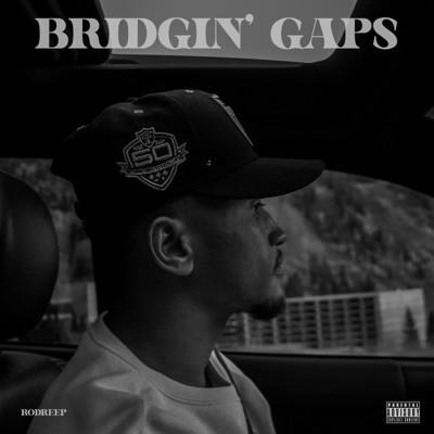 Bridgin' Gaps - Single