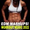 Bring Sally Up (2022 Tabata 3 Minutes Challenge) - Gym Motivation DJ Team lyrics