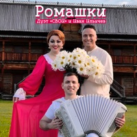 Ромашки - Single - дуэт Свои & Иван Ильичев