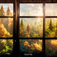 Transparency - Single - Tyler.l & bedroom lofi