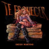 TE ESQUECER artwork