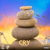 Cry - Single