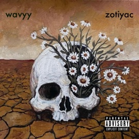 Pushin Daisies (feat. Zotiyac) wavyy