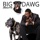 Big Dawg