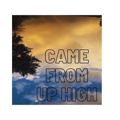 Came From Up High - Single