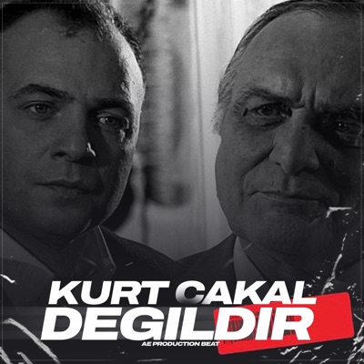 Ae Production Beat - Kurt Çakal Değildir (Mafya Müziği)