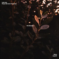 Places We Go - The Remixes (feat. Fractures) - Single - Late June