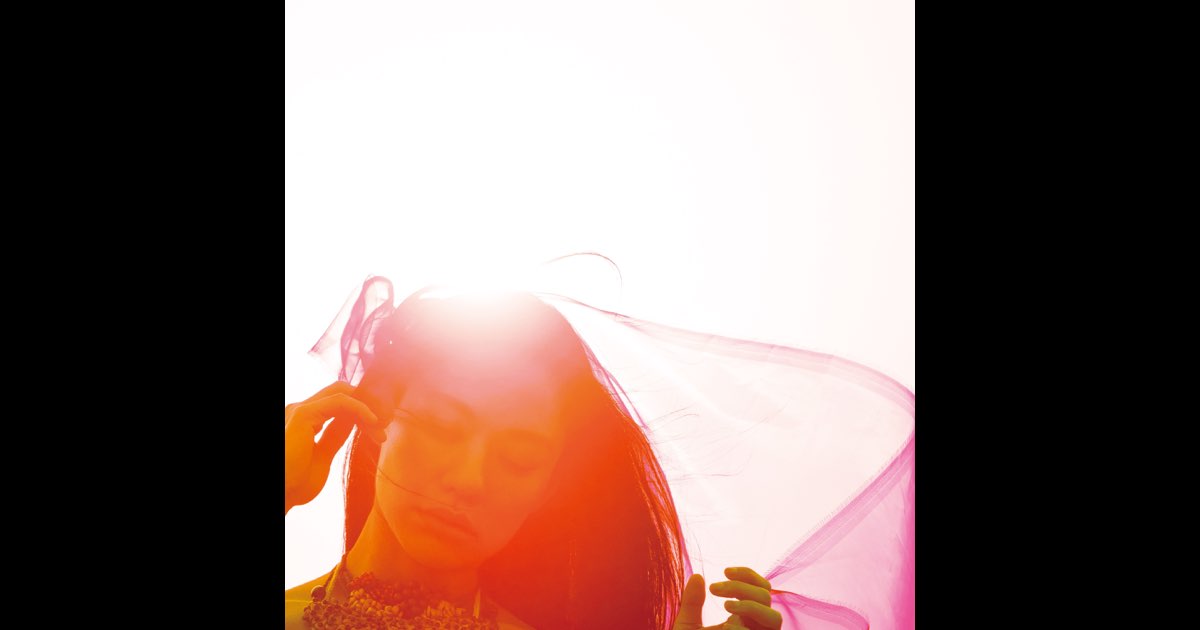 邦楽 AWICH/ THE UNION THE UNION - Awichのアルバム - Apple Music