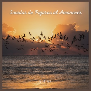 Sonidos de Pájaros al Amanecer