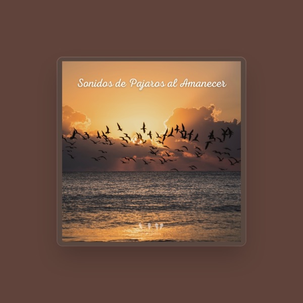 Sonidos De Pajaros's avatar