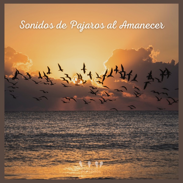 Sonidos de Pájaros al Amanecer