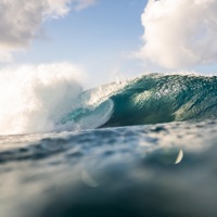 Stranger - Single - Jed