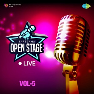 Pyaar Hua Ikrar Hua (Live)