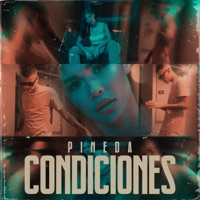 Condiciones - Single - Pineda