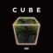 Cube - NA2 lyrics