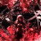 Starstruck - Xxanteria & Pingmas lyrics