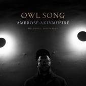 Owl Song 1 (feat. Bill Frisell & Herlin Riley) artwork