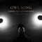 Owl Song 2 (feat. Bill Frisell & Herlin Riley) artwork