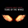 Stream & download Tears of the Wings - EP