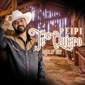 Peipi Te Queiro artwork