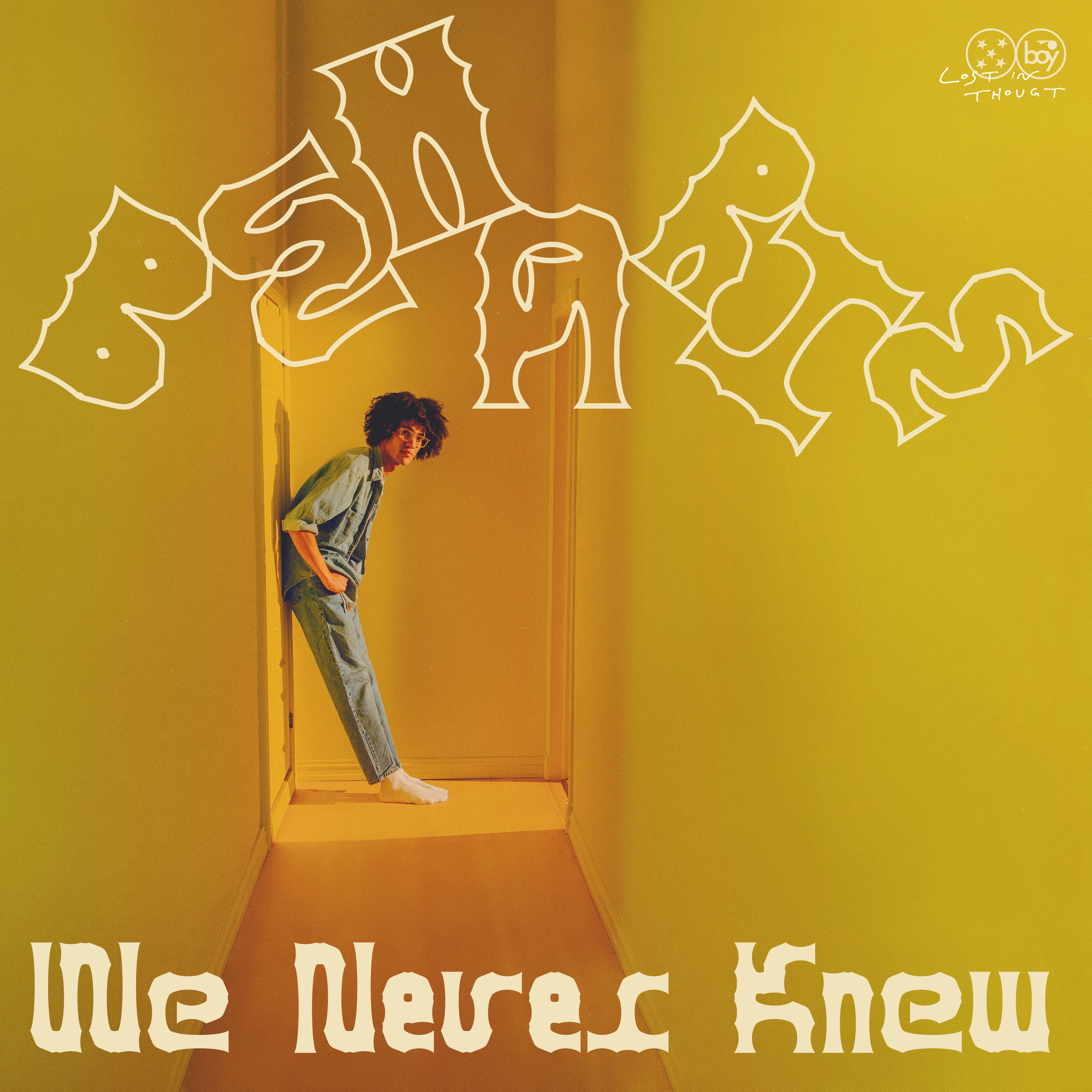 We Never Knew - Single