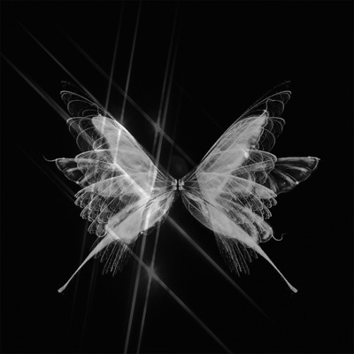 Devotion - Single