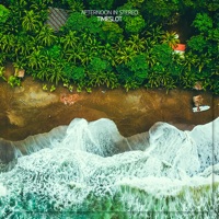 Timeslot - Single - Afternoon In Stereo