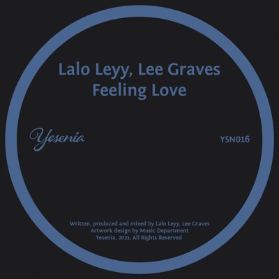Feeling Love - Single