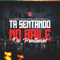 Ta Sentando no Baile do Pantanal (feat. DJ DAVI ZS & DJ Barrinhos) - Single - Mc D20, DJ Willian General & DJ Matheus da Sul