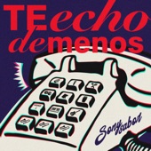 TE ECHO DE MENOS artwork