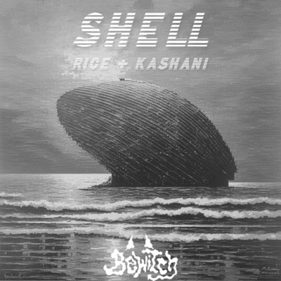 Shell (feat. Rice & Kashani) - Single