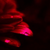 romance garbage (VIP) - Single - prodbymxfa