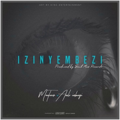 Izinyembezi (feat. Anele imbongi) - Single