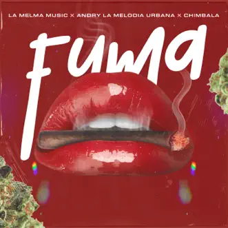 FUMA by La Melma Music, Andry la Melodia Urbana & Chimbala song reviws