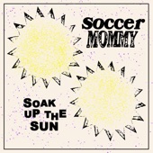 Soak Up The Sun artwork