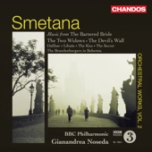 Smetana: Orchestral Works, Vol. 2 artwork