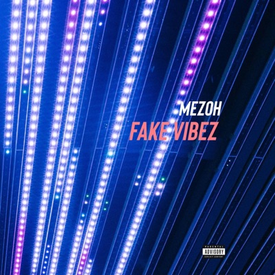 Fake Vibez - Single