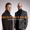 Joint Venture (feat. Lukas Pfeil, Martin Sörös, Niklas Lukassen & Raphaël Pannier) - Single