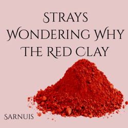 Strays Wondering Why the Red Clay - EP - Sarnuis Cover Art