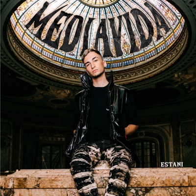 Media Vida - Single