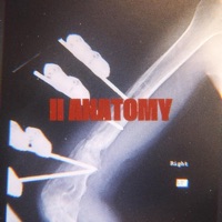 II Anatomy - Single - J MöFasa