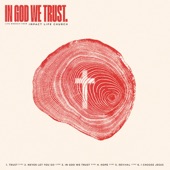 In God We Trust (Live) artwork